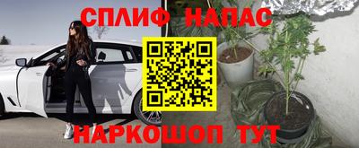 PSILOCYBIN Кунгур