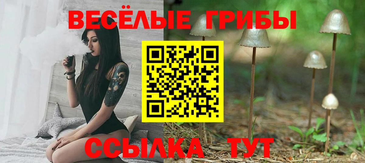 Псилоцибиновые грибы Cubensis  закладки  Клин  Вход с VPN  Псилоцибиновые грибы Cubensis 